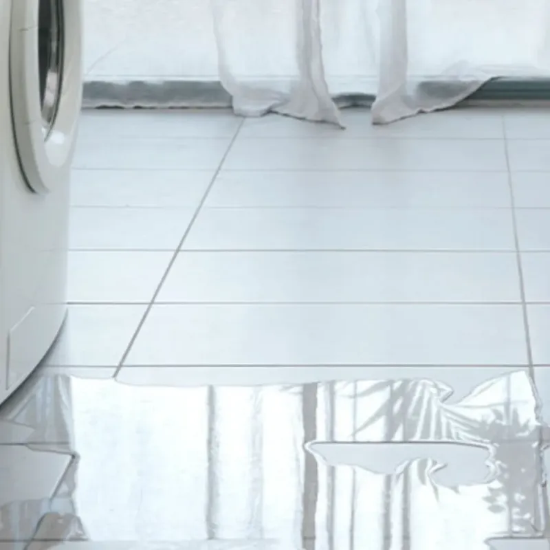 Appliance Leak Cleanup in East Saint Louis, IL
