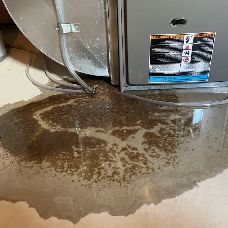 Pipe Burst and Leak Restoration in East Saint Louis, IL
