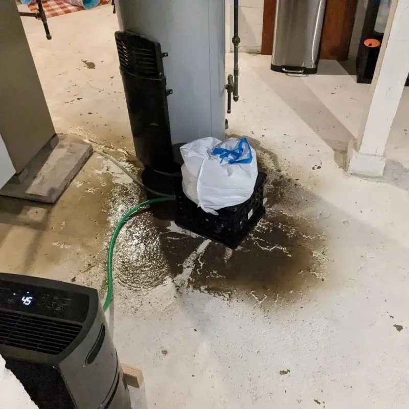 Sewage Backup Cleanup Service in East Saint Louis, IL